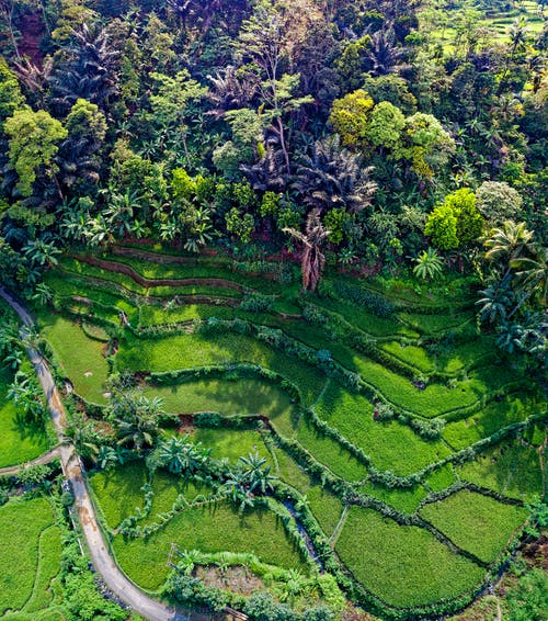 菲律宾banaue梯田 · 免费素材图片