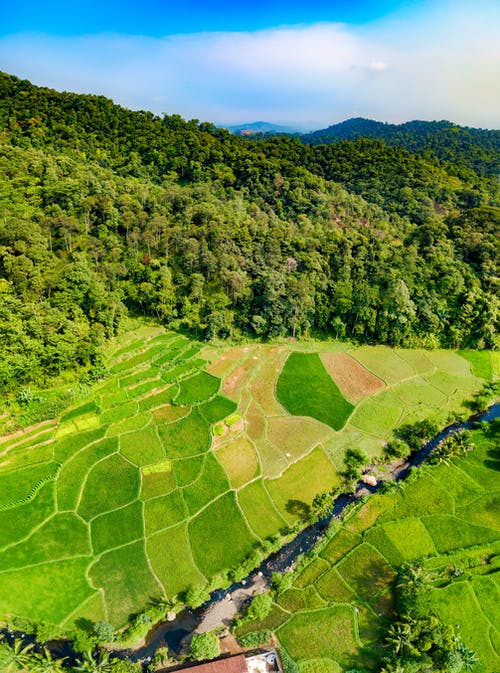 草地鸟瞰图 · 免费素材图片