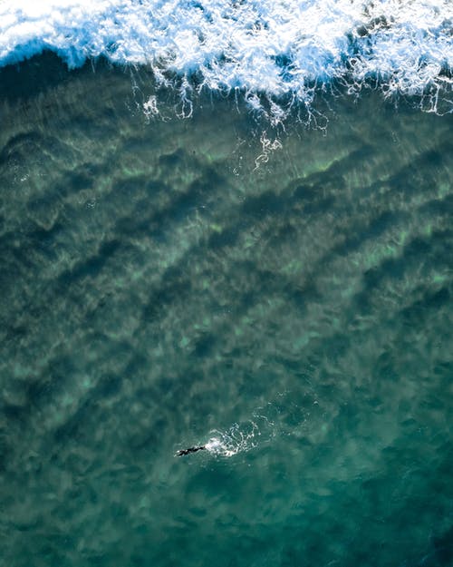 在海洋中游泳的人的鸟瞰图 · 免费素材图片