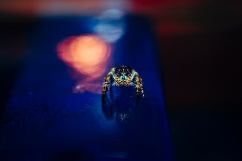 在蓝色背景上的蓝色和黄色的光 · 免费素材图片