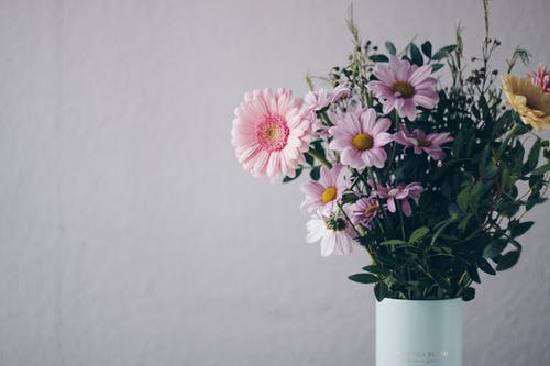 白色花瓶中的粉红色花朵 · 免费素材图片