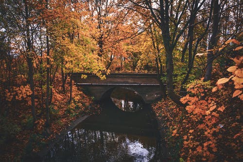 迷你桥附近的河 · 免费素材图片