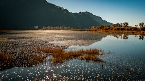 靠近山的平静水体 · 免费素材图片