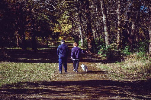 两名男子在树木附近的道路上行走 · 免费素材图片