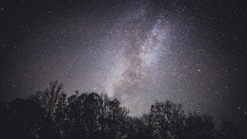 夜晚的天空下树木的轮廓 · 免费素材图片