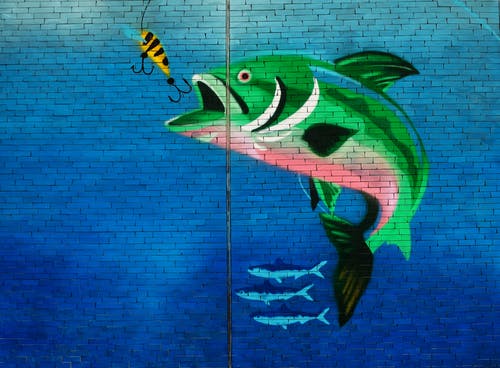 即将吃掉鱼钩的绿色鱼壁艺术 · 免费素材图片