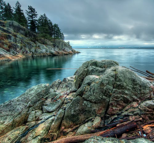 树木形成自然摄影岩层旁的平静海 · 免费素材图片