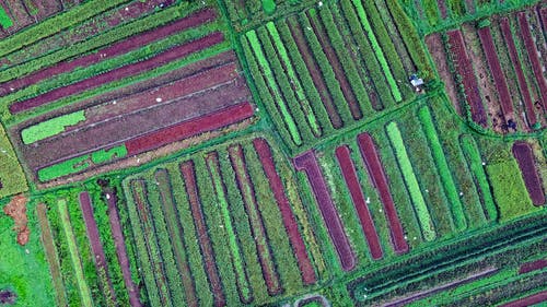 农场航拍 · 免费素材图片