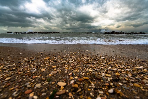 棕色和白色的鹅卵石在岸上 · 免费素材图片
