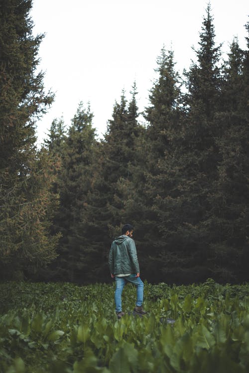 穿绿色外套的人的照片 · 免费素材图片