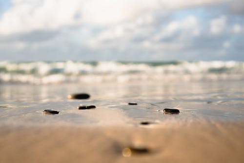 海岸线的选择性聚焦摄影 · 免费素材图片
