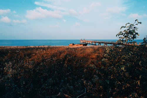 船厂 · 免费素材图片