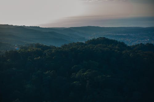 海边绿树覆盖的岛屿 · 免费素材图片