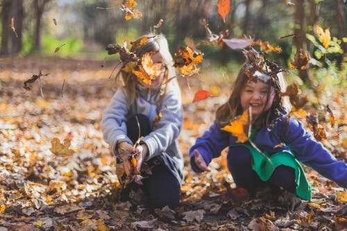 孩子们玩干树叶的照片 · 免费素材图片