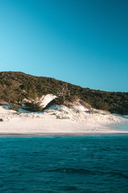 面对水草覆盖的岛屿 · 免费素材图片