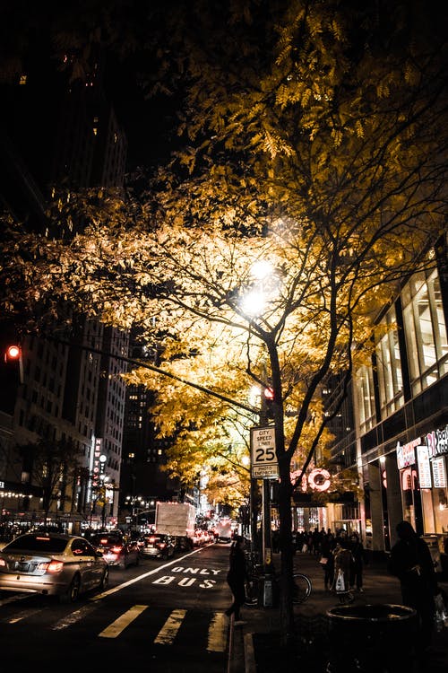 夜间在路边走的人 · 免费素材图片