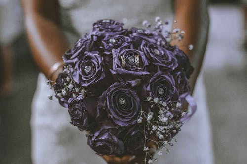 新娘抱着紫色的花束 · 免费素材图片