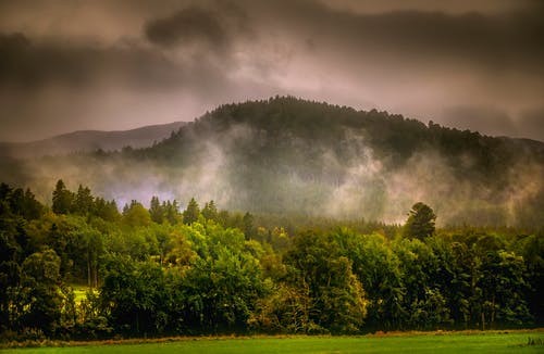 乌云下的森林 · 免费素材图片