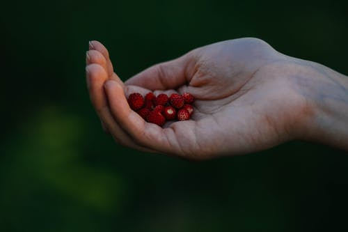 拿着红色水果的人的特写照片 · 免费素材图片