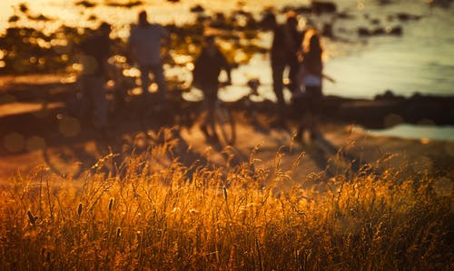 人与海洋附近的棕草 · 免费素材图片