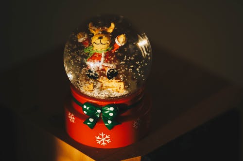 棕色泰迪熊圣诞节水球 · 免费素材图片