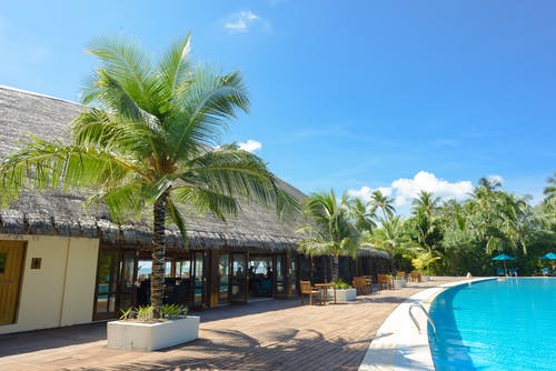 椰子树环绕的游泳池 · 免费素材图片