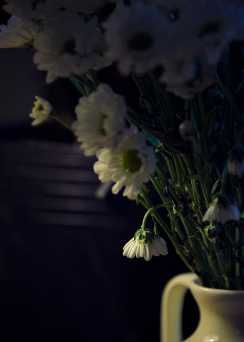 花瓶上的白花的特写照片 · 免费素材图片