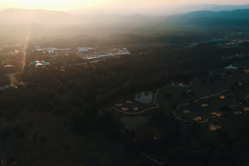 树木航拍 · 免费素材图片