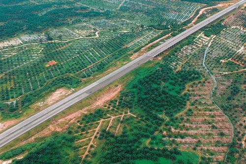 鸟瞰鸟瞰图 · 免费素材图片