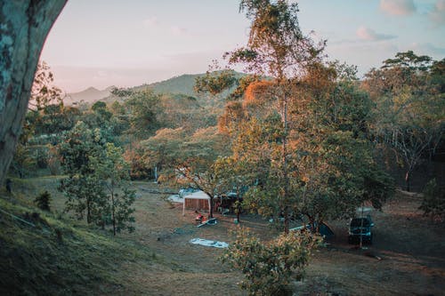 绿叶树包围的棕色木屋 · 免费素材图片