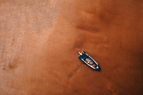 海边的蓝色和白色帆船 · 免费素材图片