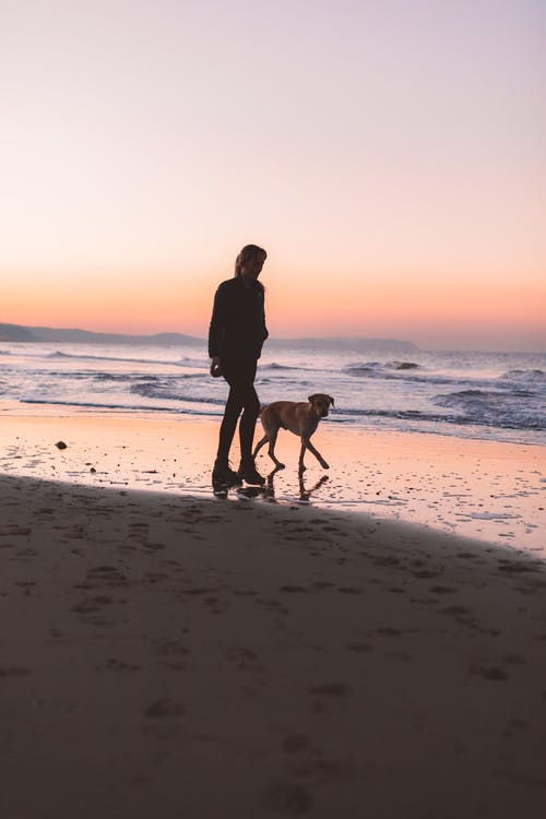 女人与狗在岸边散步 · 免费素材图片