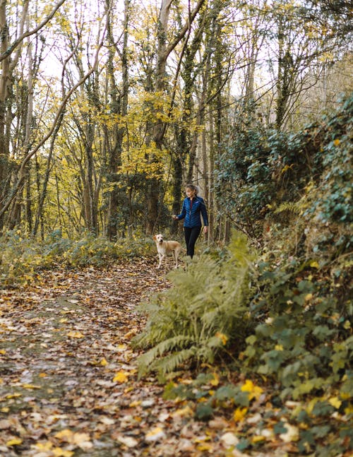 女人和狗在树林里散步 · 免费素材图片