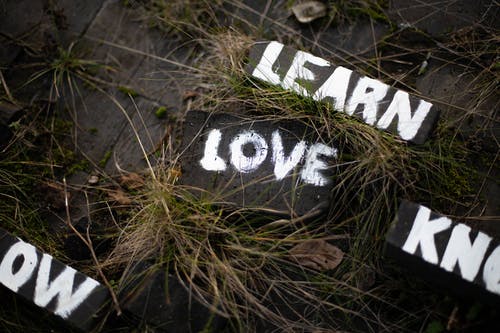 学习和热爱周围草丛中的油漆 · 免费素材图片
