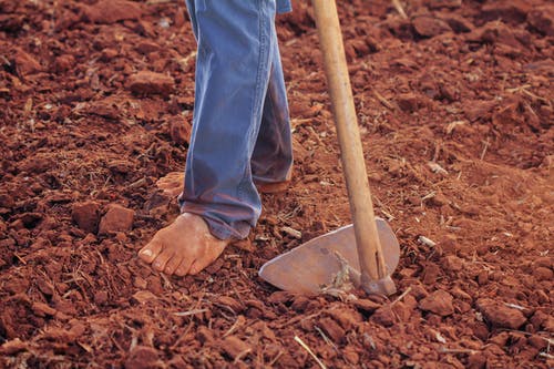 耕土的人 · 免费素材图片