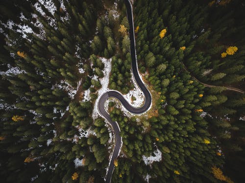 树木环绕的巷道鸟瞰图 · 免费素材图片