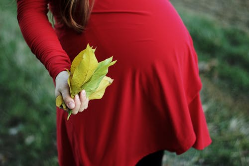 拿着束叶子的孕妇选择聚焦摄影 · 免费素材图片
