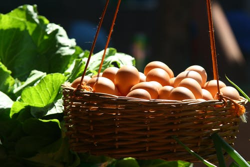 装满家禽蛋的篮子 · 免费素材图片
