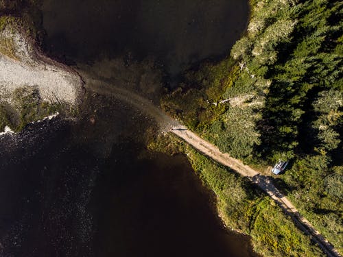 树木附近路航拍 · 免费素材图片