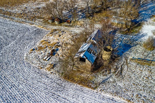 树木包围的棕色木屋 · 免费素材图片