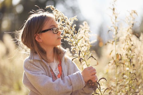 女孩抱着绿叶植物 · 免费素材图片
