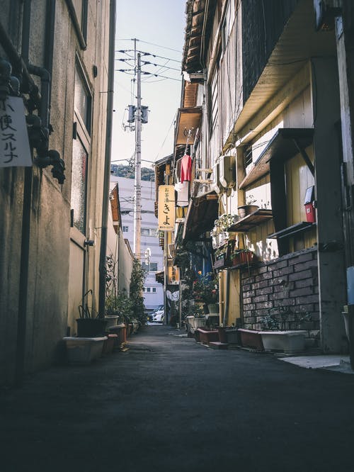 两个内建之间的植物照片 · 免费素材图片