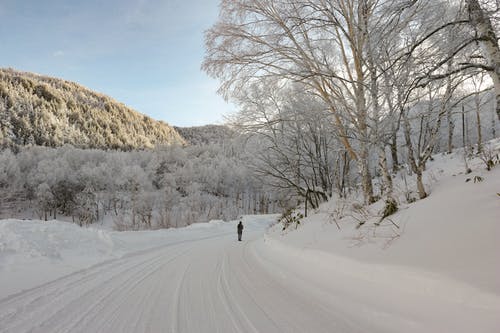 有关人, 休闲, 假日的免费素材图片