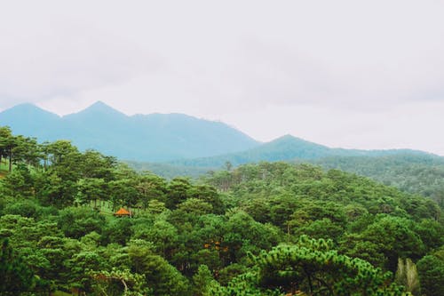 绿山照片 · 免费素材图片