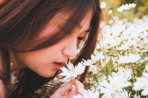 女人手捧白雏菊花 · 免费素材图片