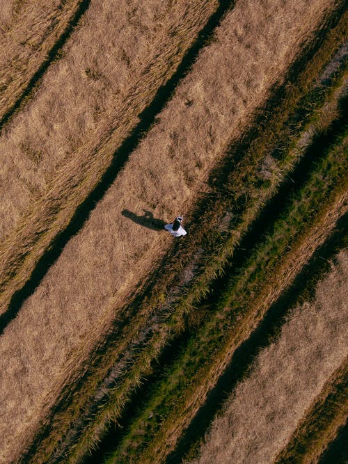 人站在草地上的航拍照片 · 免费素材图片