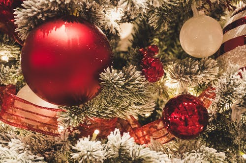 挂在圣诞树上的红色和白色圣诞球 · 免费素材图片