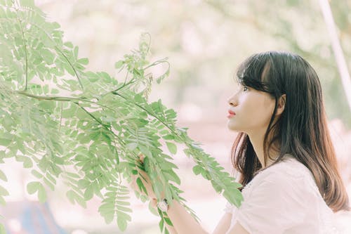 女人看着一棵树的绿色叶子 · 免费素材图片