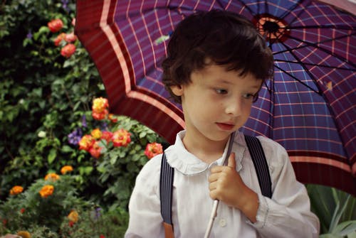 男孩抱着紫色的伞 · 免费素材图片