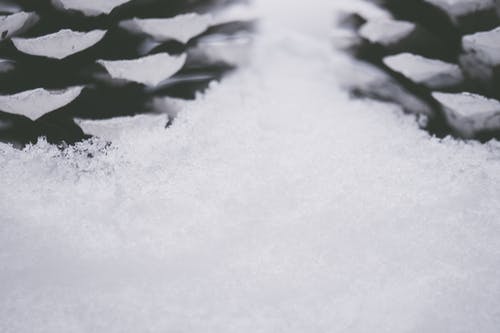 雪地上的选择性聚焦照片 · 免费素材图片